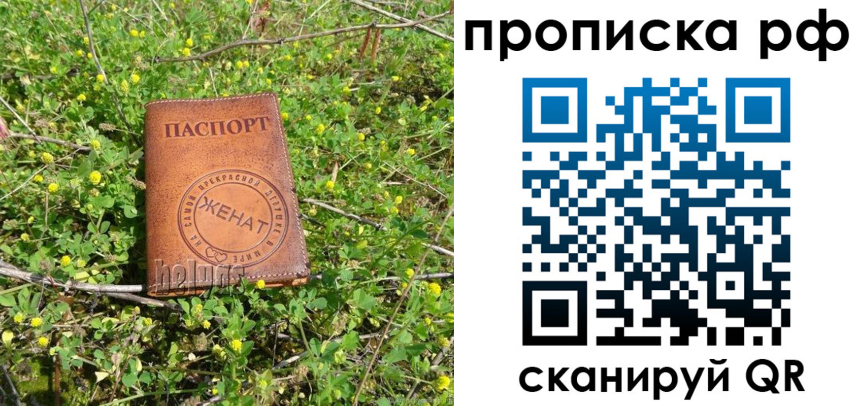 прописка паспорт в Острове